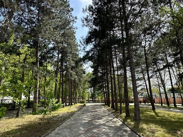 Гостиница "Ателика Тешебс" п. Архипо-Осиповка